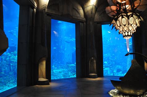 aqua atlantis aquarium